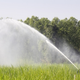 Illustration for article titled Things to Consider When Acquiring a Lawn Sprinkler Productem/em